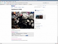 Заметили, как Greasemonkey переделал эту страницу? Окно блога – новая опция поверх базового интерфейса Flickr.