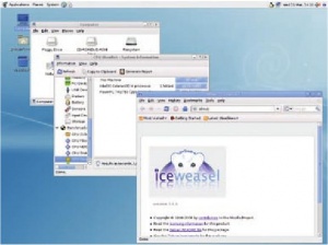 Debian предлагает выбор из нескольких вариантов использования компьютера и цветовую гамму по душе. Нам это понравилось.