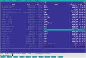 Графический интерфейс пользователя – кому это надо? Идеальный для мышефобов Midnight Commander вмещает очень много даже в ANSI-терминалы 80x25.