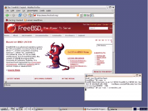FreeBSD отлично ладит с Linux-программами, включая Firefox и IceWM
