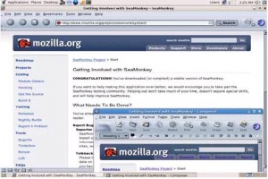 Внешне SeaMonkey неотличим от старого доброго Mozilla Suite.